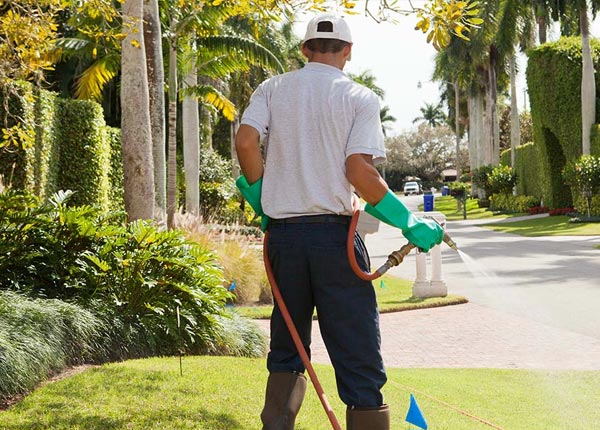 About Wheatcroft KY Pest Control